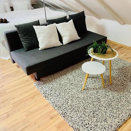 Studio Apartment In Direkter Naehe Zur Uniklinik Homburg Гомбург Екстер'єр фото
