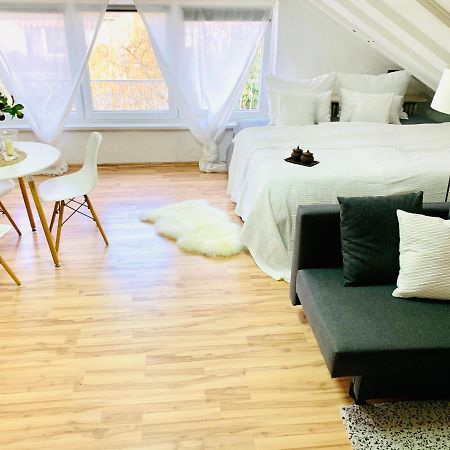 Studio Apartment In Direkter Naehe Zur Uniklinik Homburg Гомбург Екстер'єр фото