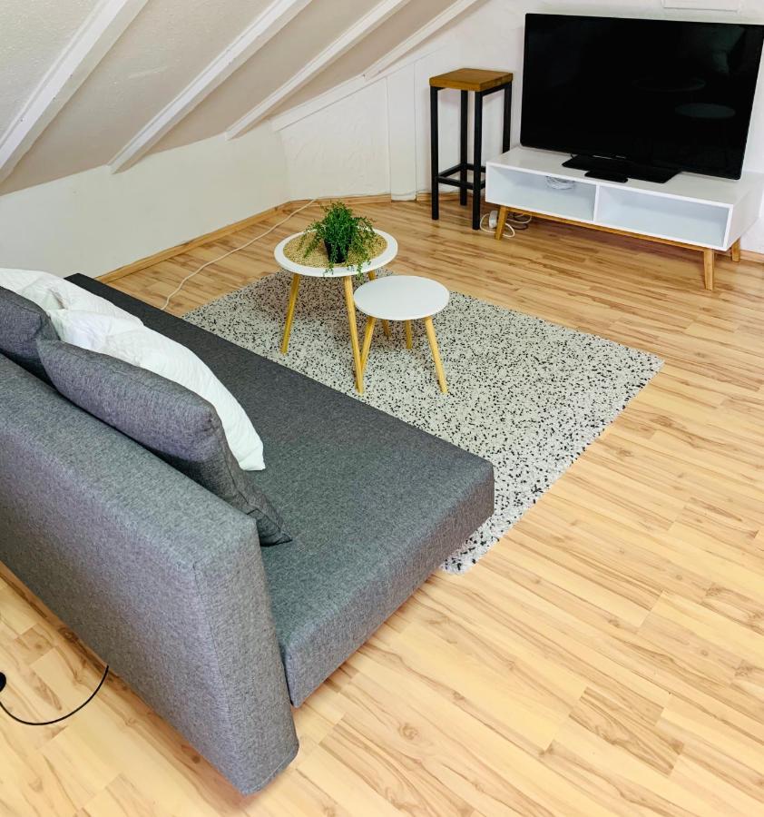 Studio Apartment In Direkter Naehe Zur Uniklinik Homburg Гомбург Екстер'єр фото