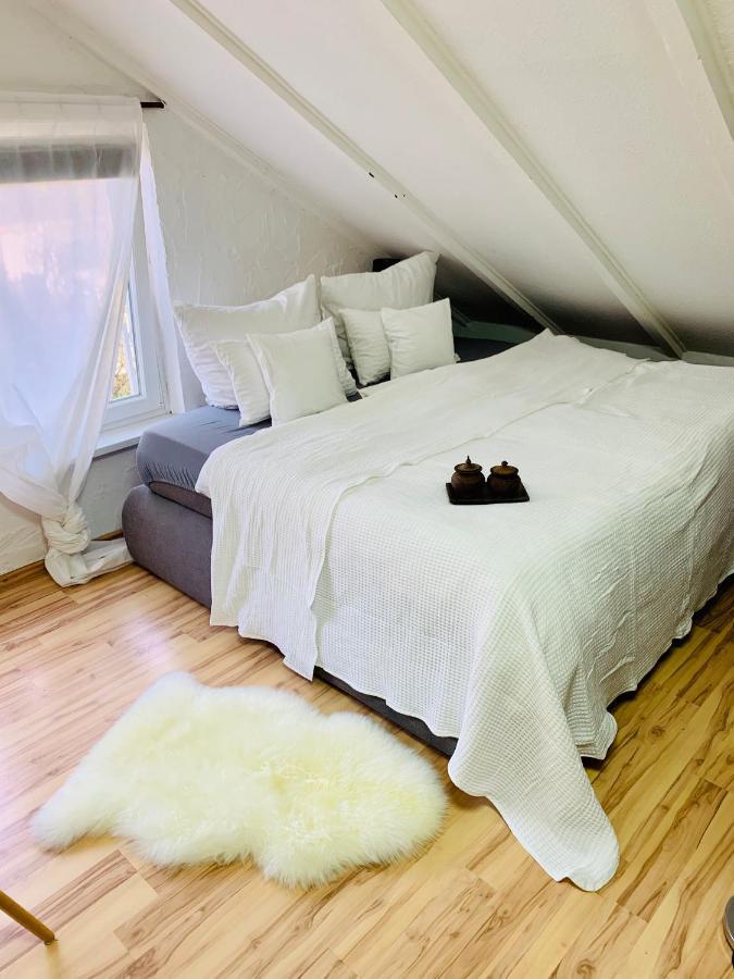 Studio Apartment In Direkter Naehe Zur Uniklinik Homburg Гомбург Екстер'єр фото