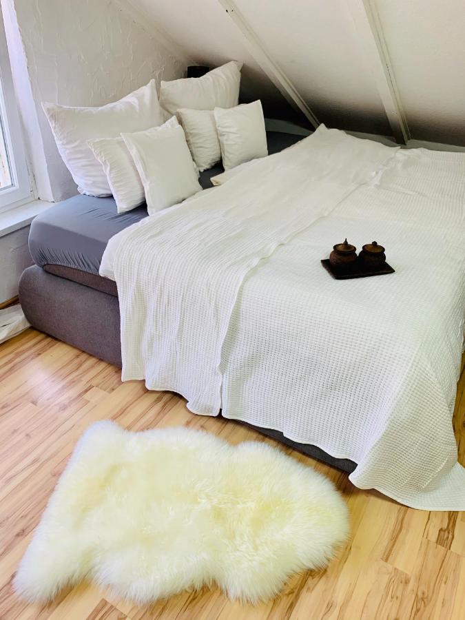 Studio Apartment In Direkter Naehe Zur Uniklinik Homburg Гомбург Екстер'єр фото