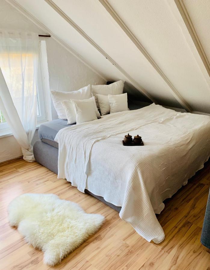 Studio Apartment In Direkter Naehe Zur Uniklinik Homburg Гомбург Екстер'єр фото