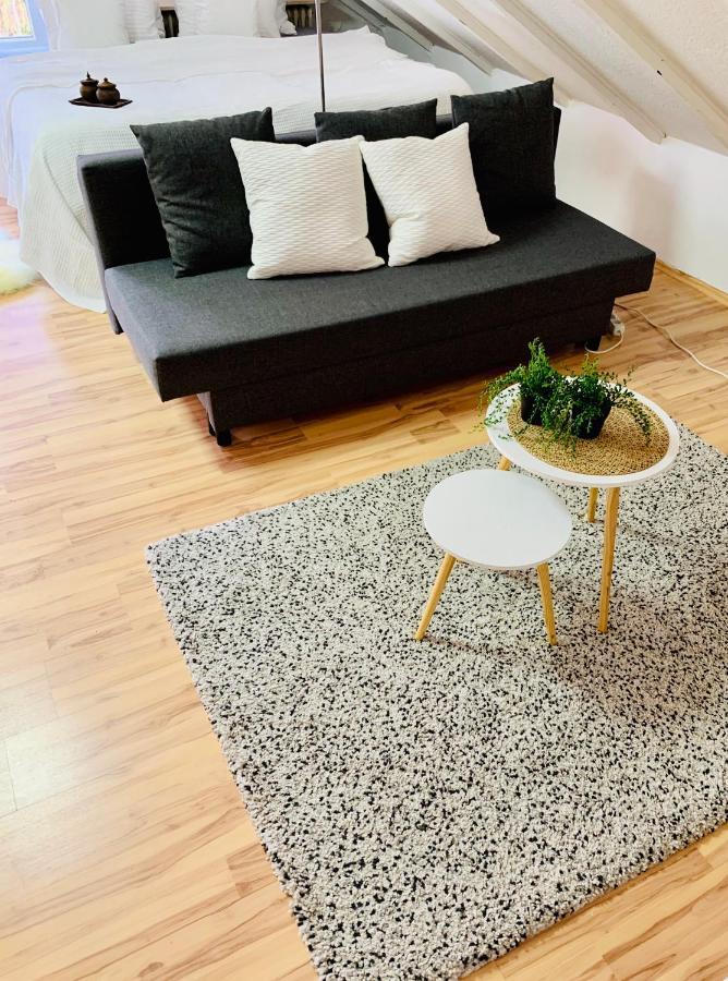Studio Apartment In Direkter Naehe Zur Uniklinik Homburg Гомбург Екстер'єр фото