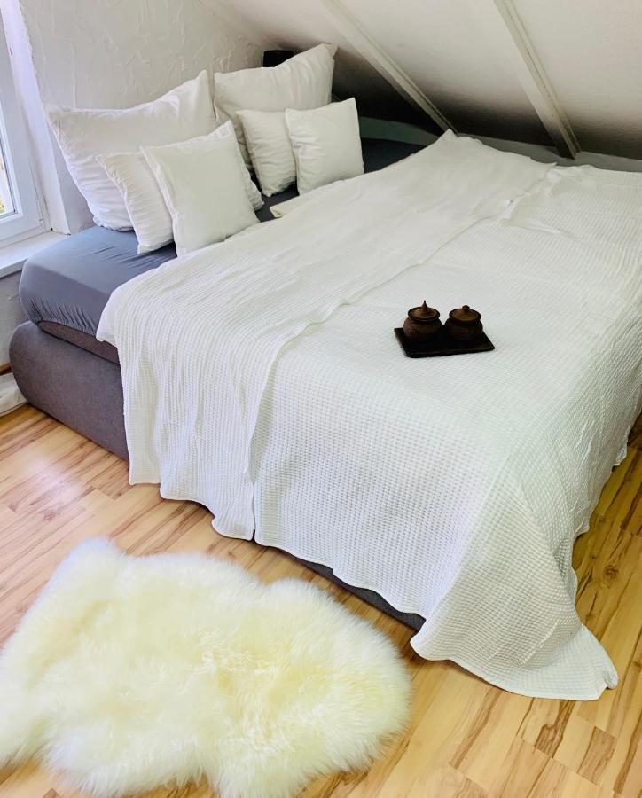 Studio Apartment In Direkter Naehe Zur Uniklinik Homburg Гомбург Екстер'єр фото