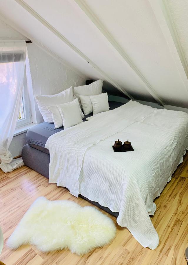 Studio Apartment In Direkter Naehe Zur Uniklinik Homburg Гомбург Екстер'єр фото